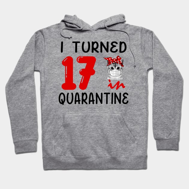 I Turned 17 In Quarantine Funny Cat Facemask Hoodie by David Darry